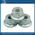 DIN6924 Nylon Insert Lock Hex Flange Nut